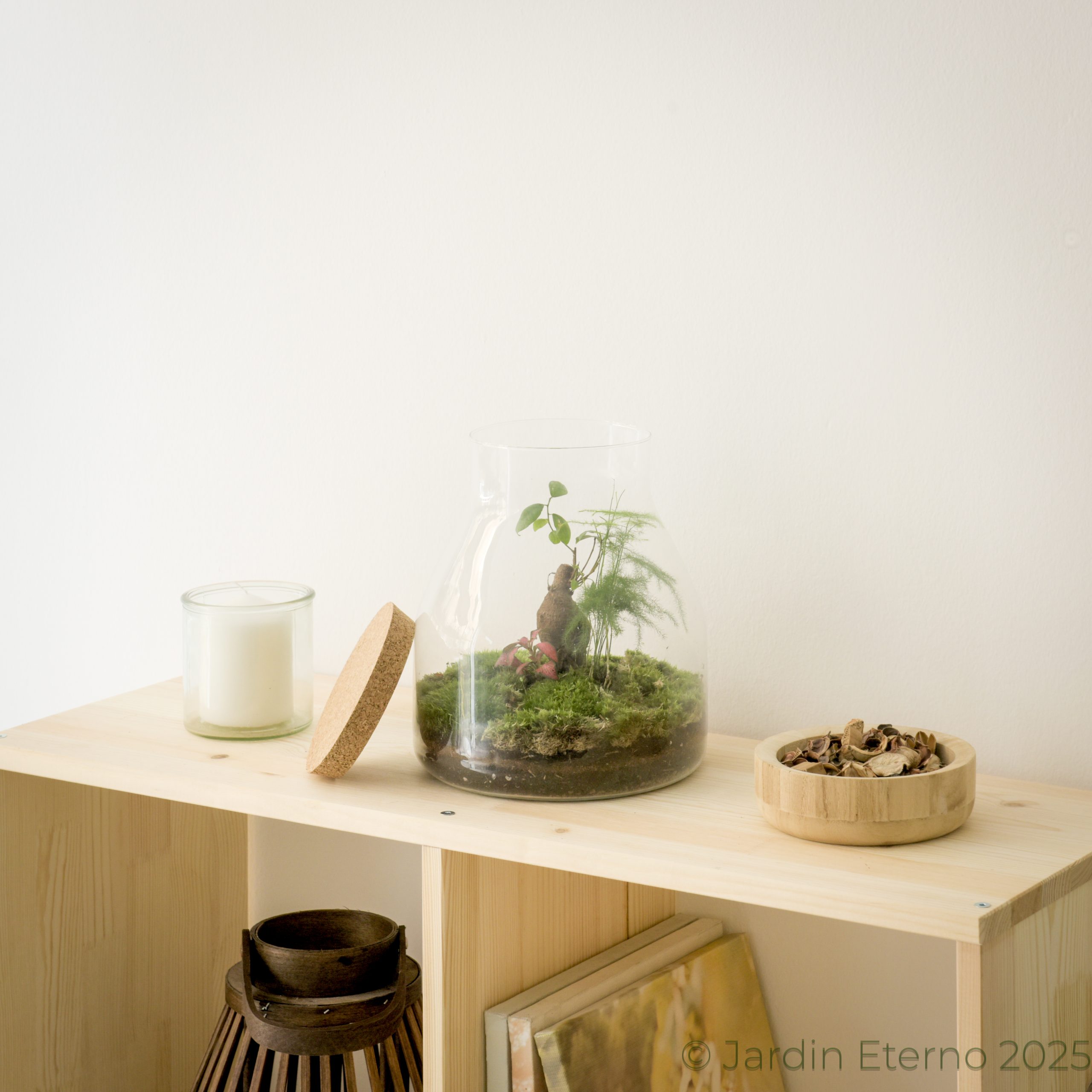 Terrario eterno Hinata (日向) – "Lugar soleado".