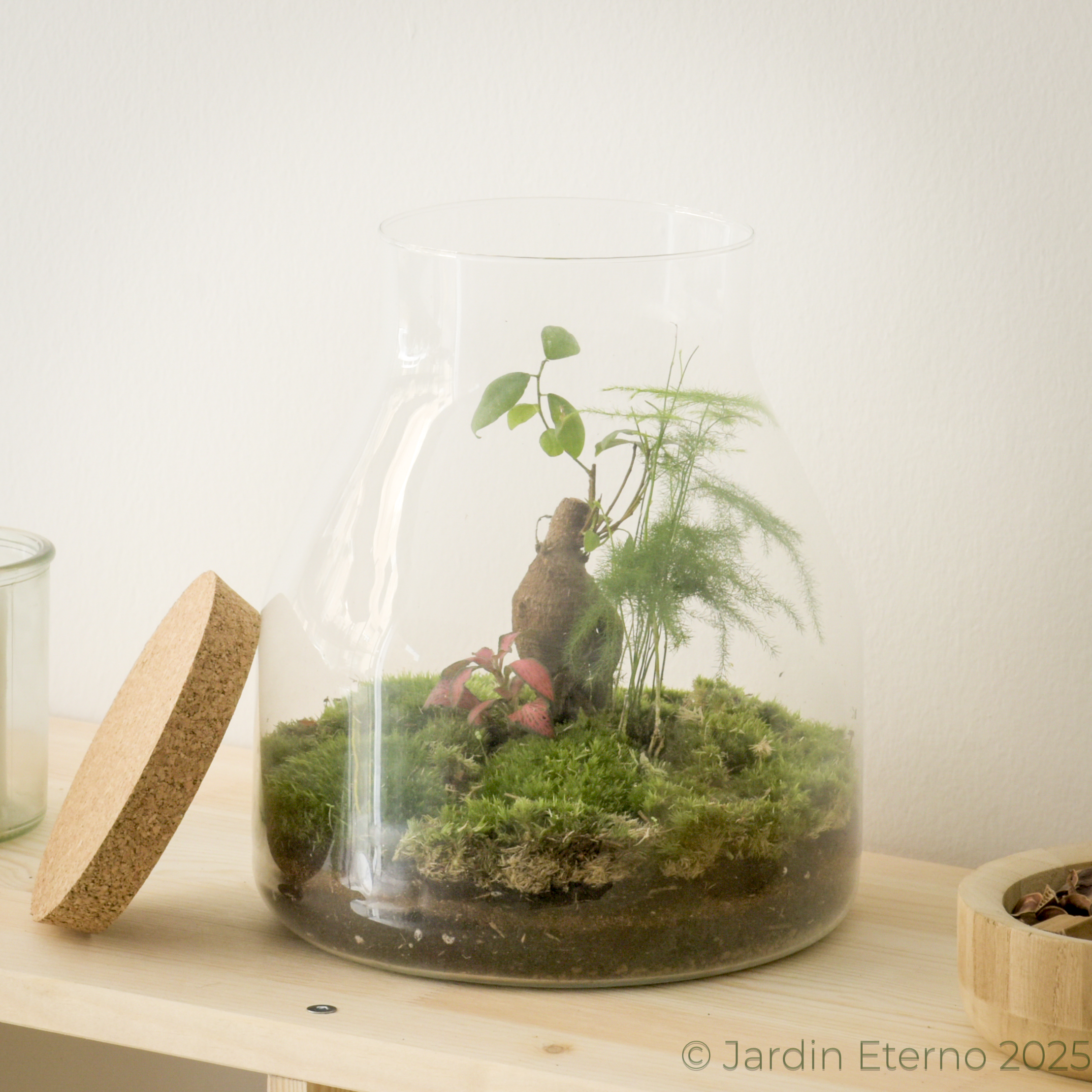 Terrario eterno Hinata (日向)